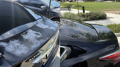 ReGloss Clearcoat Restoration ULTIMATE Kit