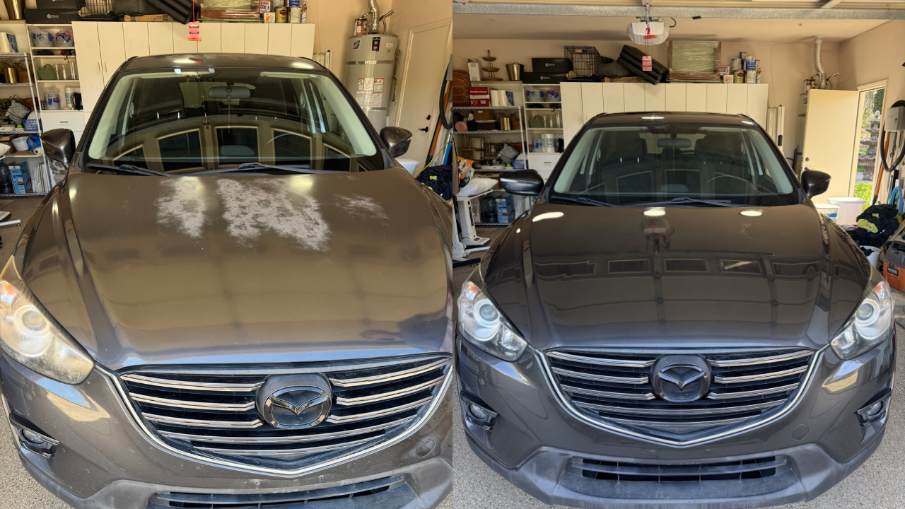 ReGloss Clearcoat Restoration PRO Kit