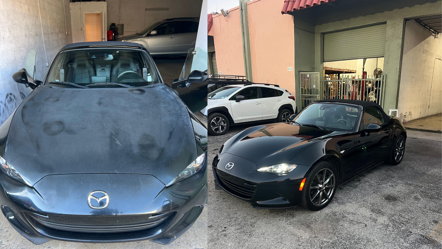 ReGloss Clearcoat Restoration Kit