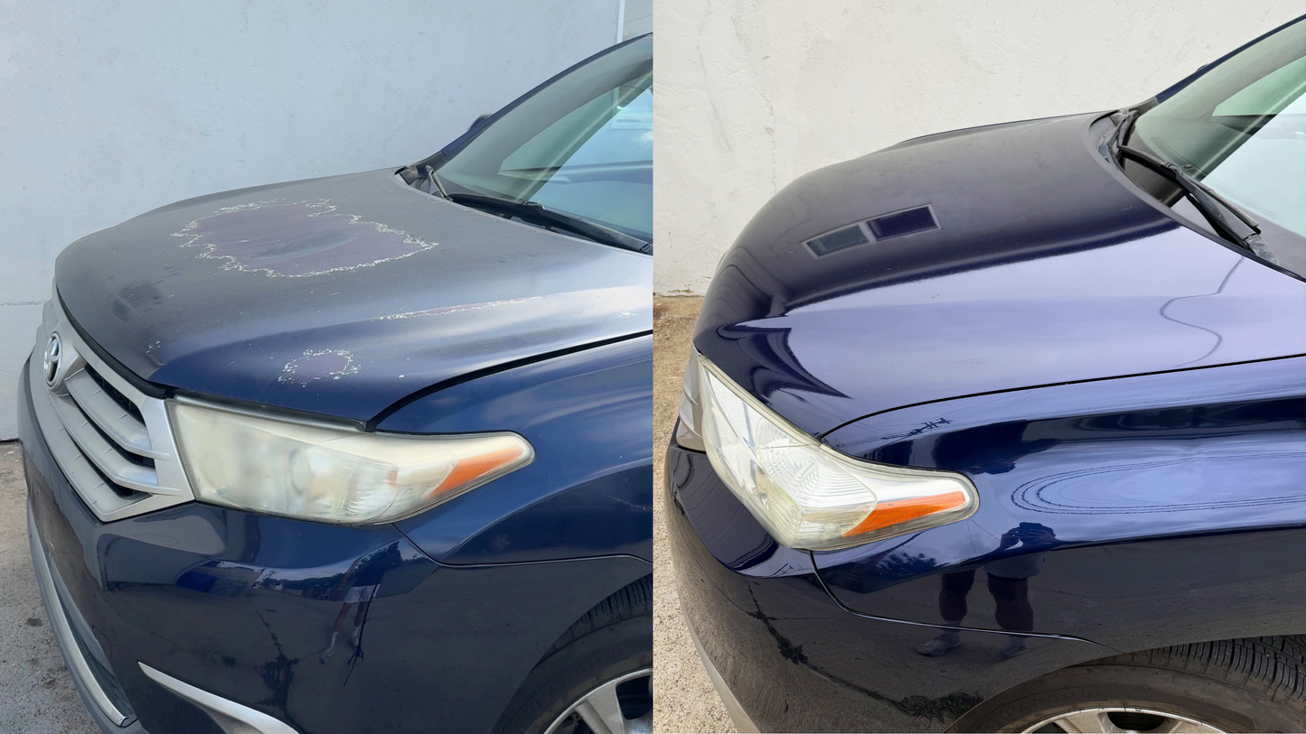 ReGloss Clearcoat Restoration Kit