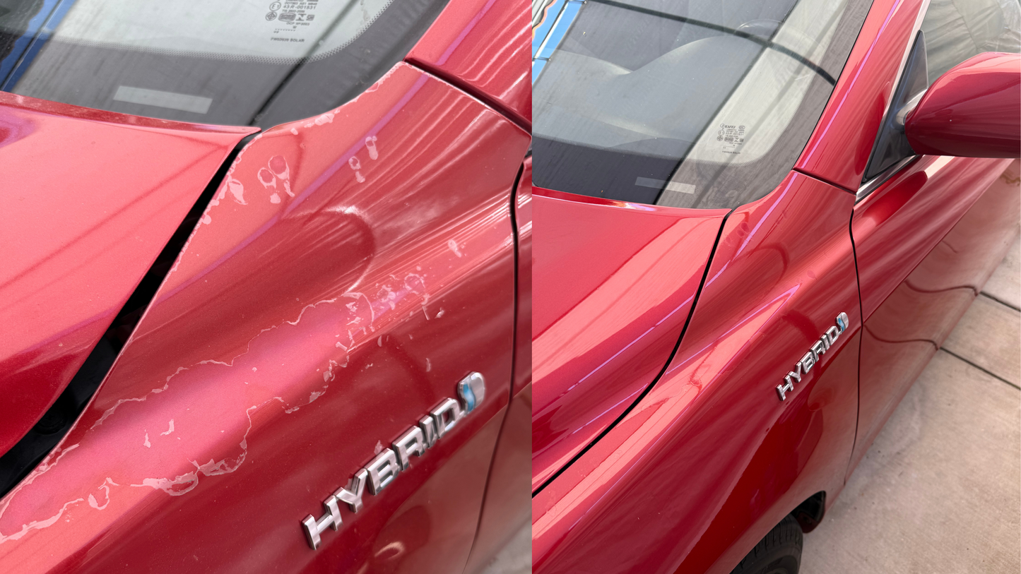 ReGloss Clearcoat Restoration Kit